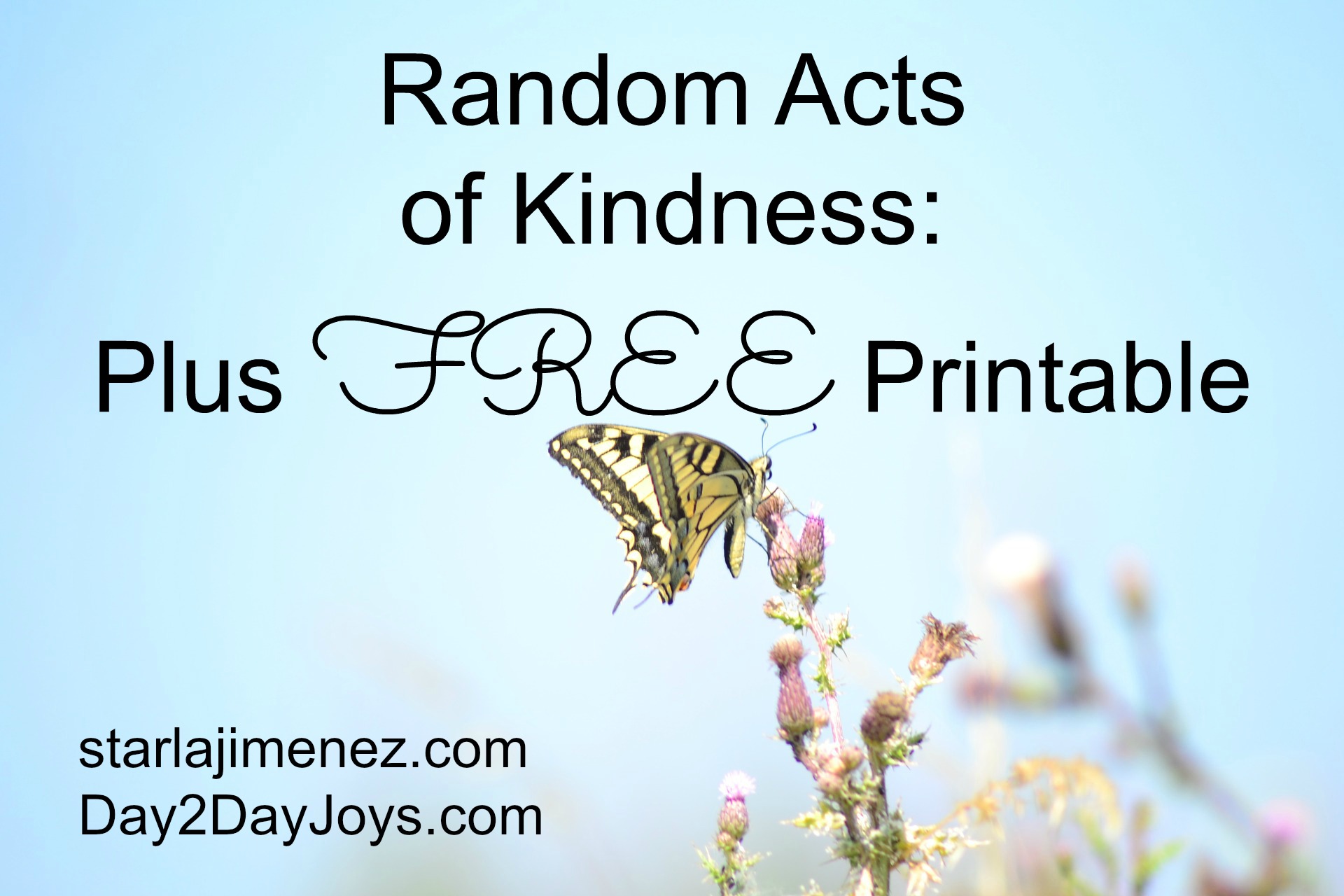 random act of kindness essay