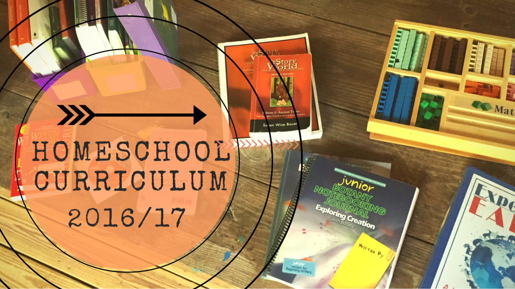 our-homeschool-curriculum-for-2016-2017-day2day-joys