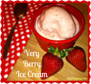 Very Berry Ice Cream