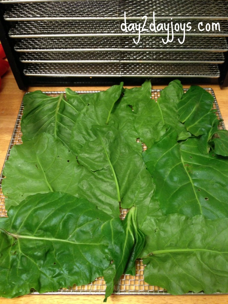 Dehydrating Greens is a great way to preserve them for the winter and add a quick boost of nutrition to recipes