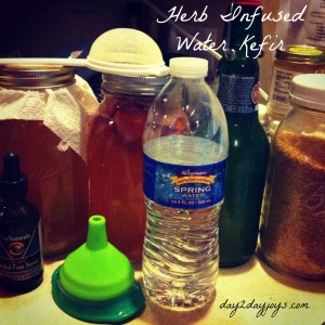 herb infused water kefir