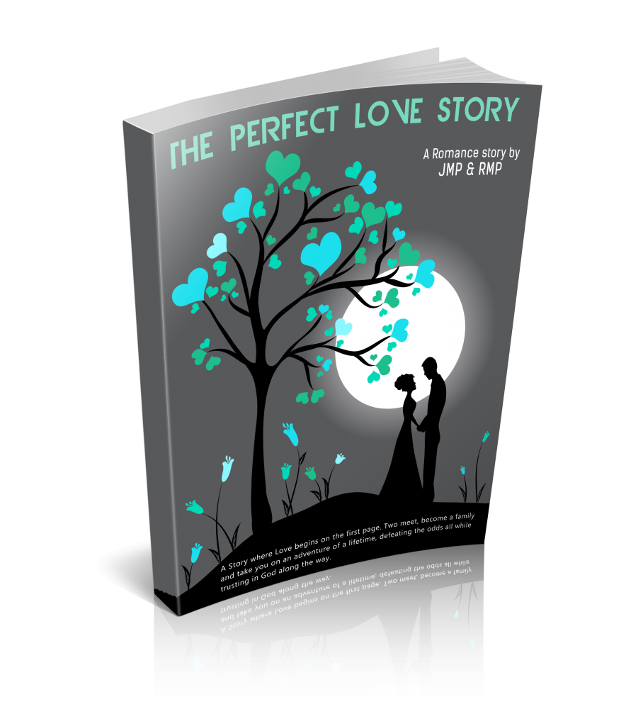 The Perfect Love Story- ebook cover