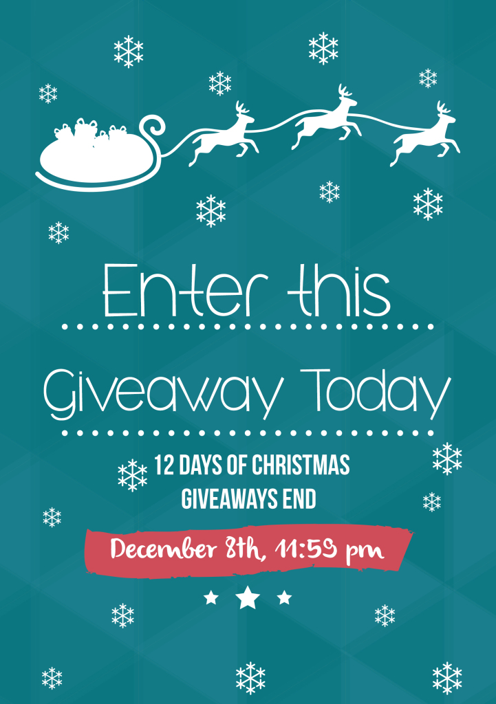 Enter this Christmas Giveaway!!