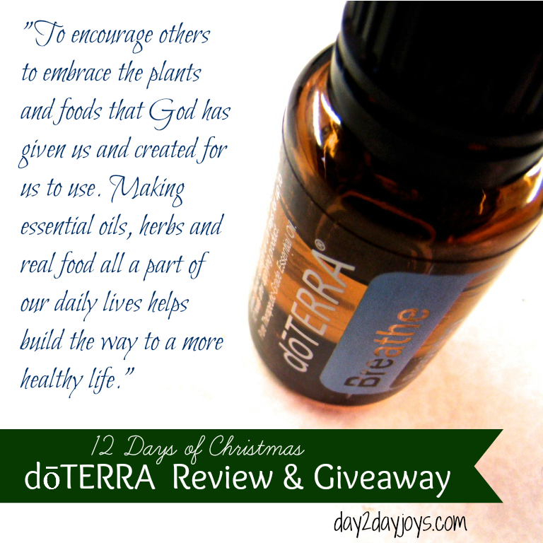 12 Days of Christmas {Day 2: dōTERRA Essential Oil} - Day2Day Joys