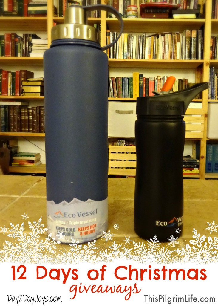 12 Days of Christmas Giveaways: Amazing water bottles from EcoVessel!